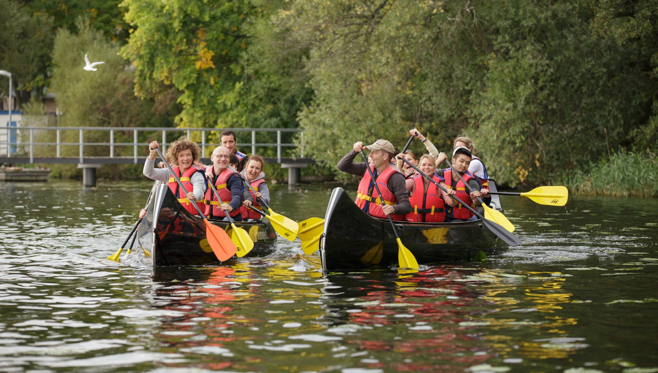 Event formats-team event-team building-archery-team spirit-scaled