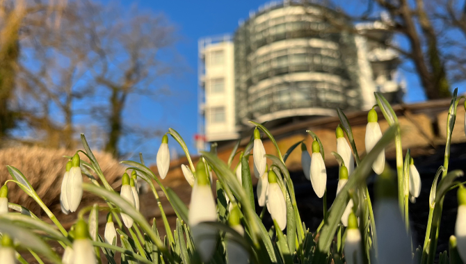 spring-air-bar-zeppelin