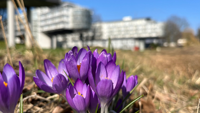 Frühling im Eventgarten. Kongresshotel Potsdam
