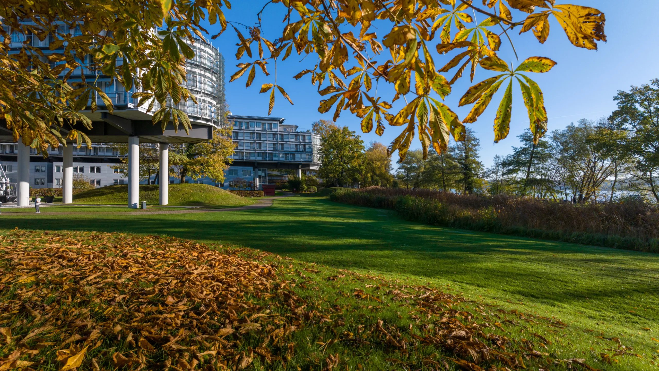 KP_Luftaufnahmen_Herbst_DJI_0278-Pano_XL Herbst. Eventgarten.