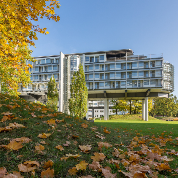 Aus der Ferne wird das Kongresshotel Potsdam in Herbstlicher Atmosphäre gezeigt. Im Vordergrund liegen bereits braune Blätter auf der grünen Wiese.