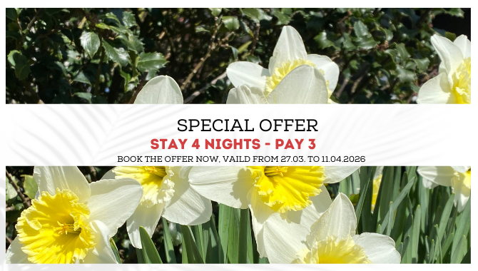 Frühling-Special Übernachtungsangebot